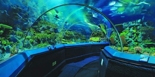  Shanghai Ocean Aquarium