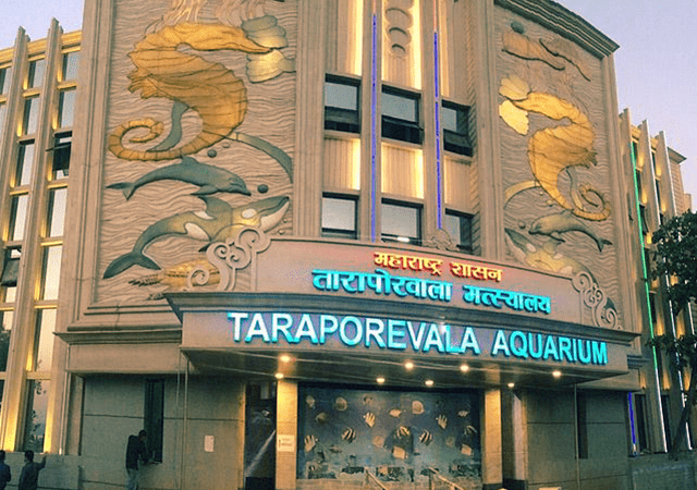 Taraporevala Aquarium