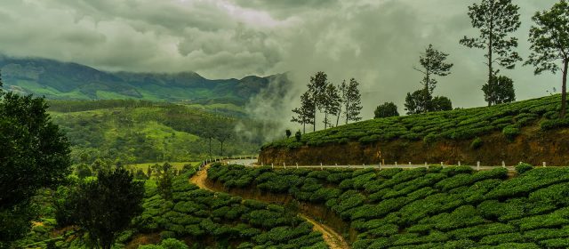 Tourism in Kerala