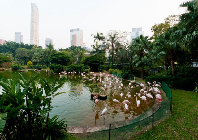 Kowloon Hong Kong Garden