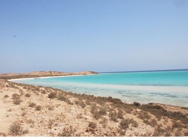 جزيرة جبل الصبايا في محافظة القنفذة