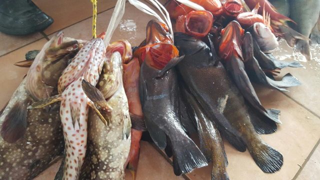 سوق السمك في ثول