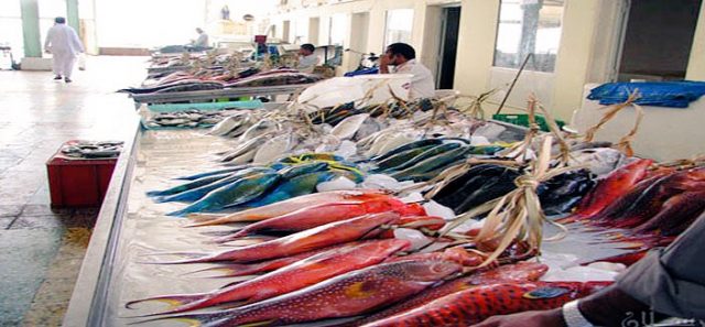 Yanbu Fish Market