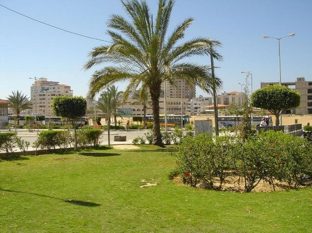 حديقة بلدية خميس مشيط