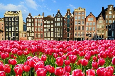 امستردام