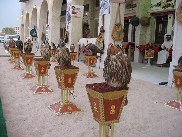 سوق الصقور في الدوحة قطر