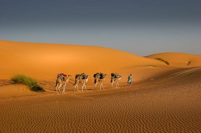 سفاري صحراء نواكشوط