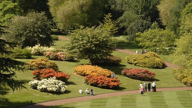 الحديقة النباتية الملكية ادنبره