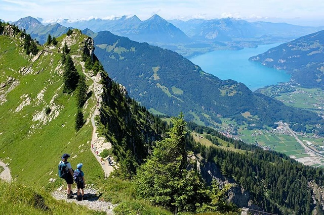 تلال ال شينيج بلات سويسرا