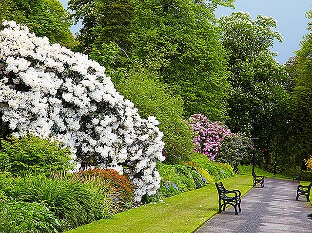 الحديقة النباتية في بلفاست أيرلندا الشمالية