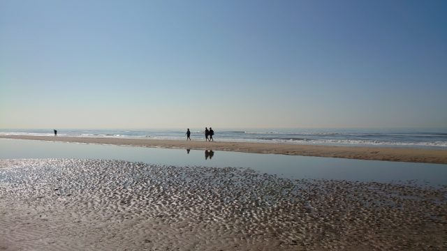 شاطئ بلوميندال