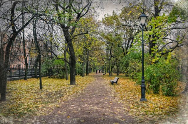 حديقة ايكاترينينسكي