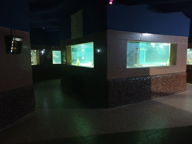 متحف أسماك البحر الأحمر