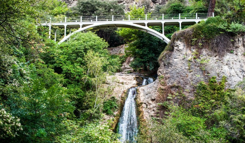 حديقة النباتات الوطنية في تبليسي