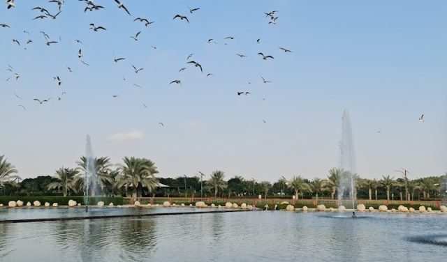 الحديقة القرانية في دبي