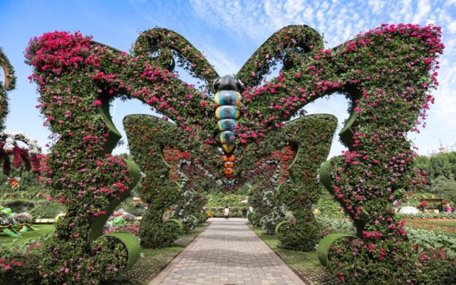 حديقة الفراشات دبي