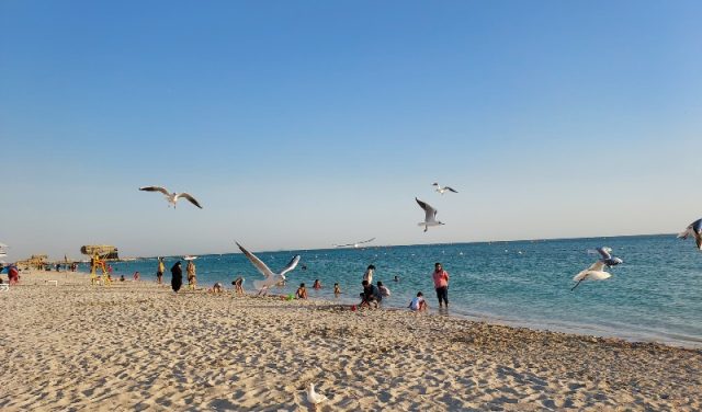 شاطئ الحديريات ابوظبي