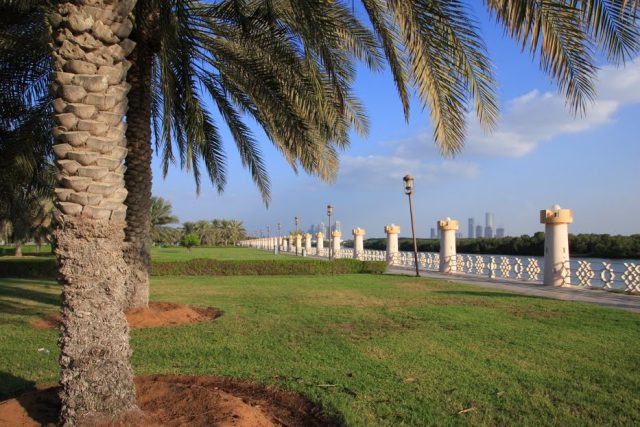حديقة الدلفين ابو ظبي