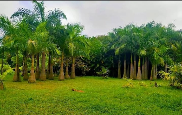 حديقة جايا براكاش نارايانا
