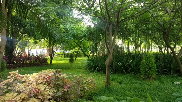 حديقة أودوبي