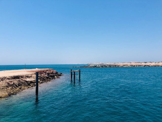 جزيرة دلما ابوظبي